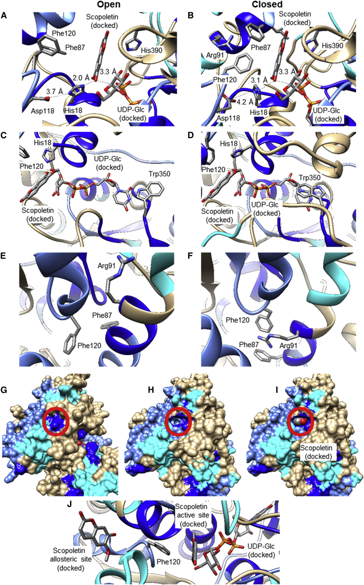 Figure 6