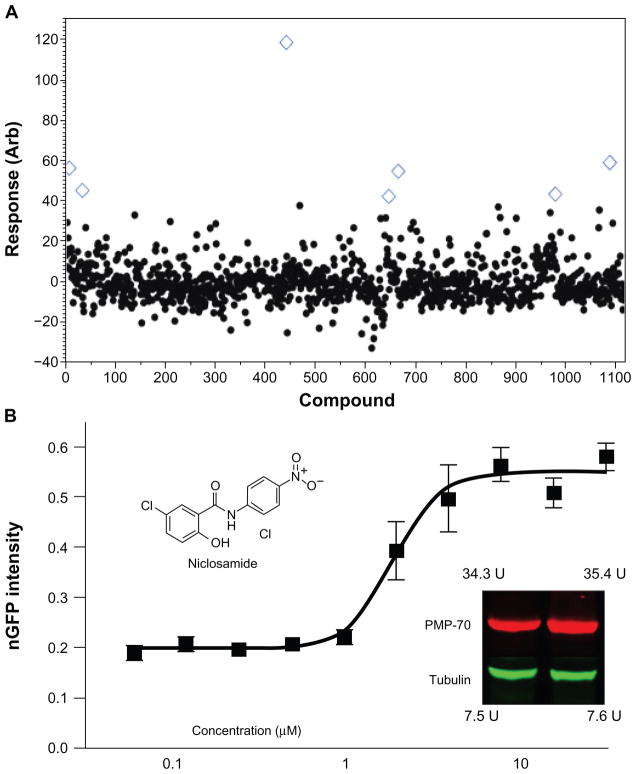 Figure 6