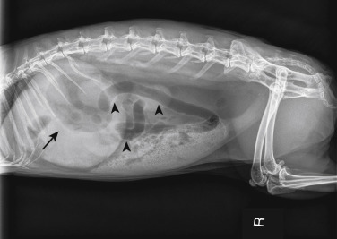 Fig. 14.4