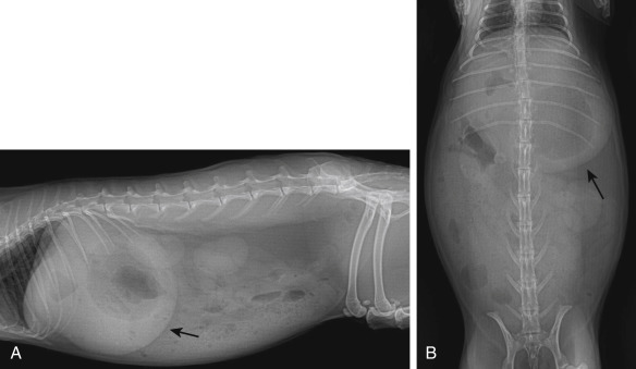 Fig. 14.2