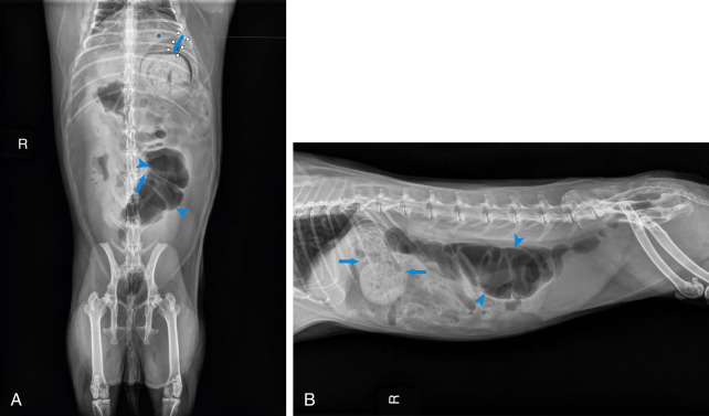 Fig. 14.1