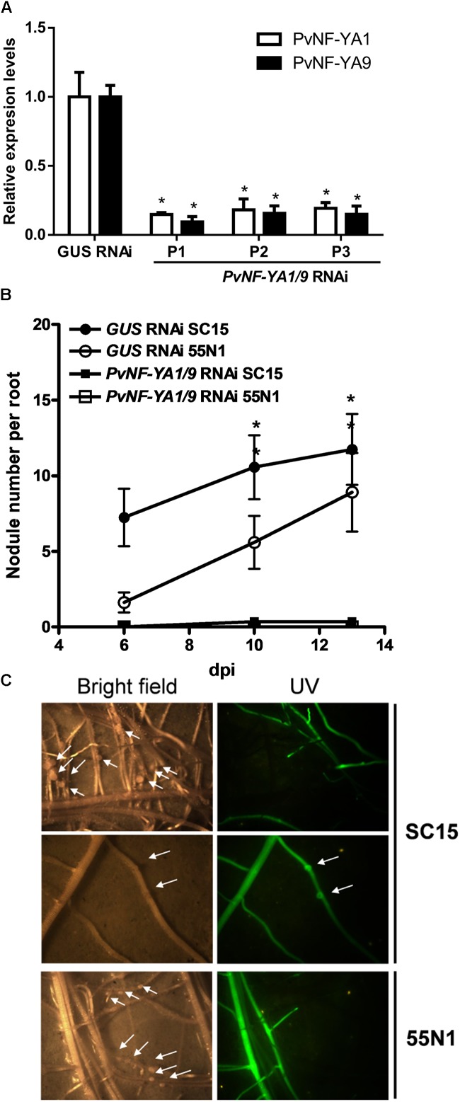 FIGURE 3