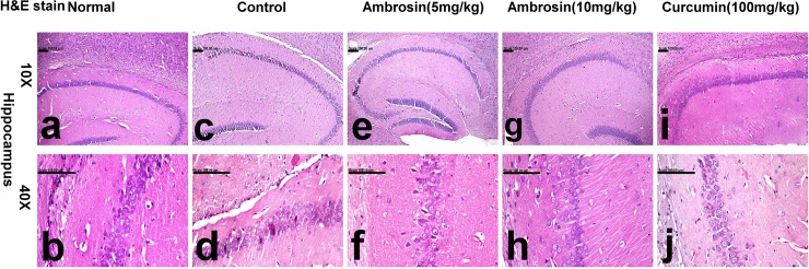 Fig 9