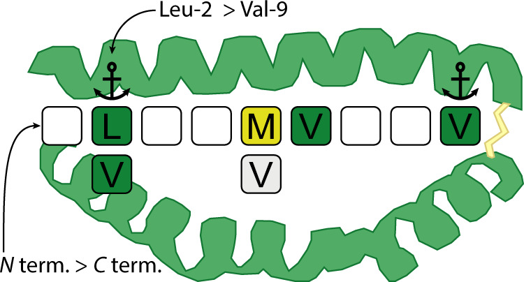 Fig. 8