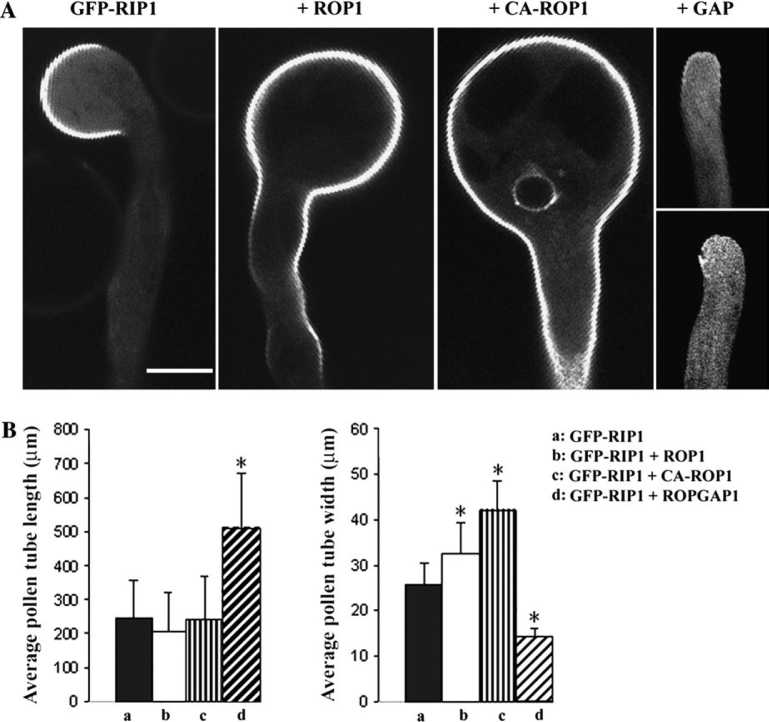 Figure 6