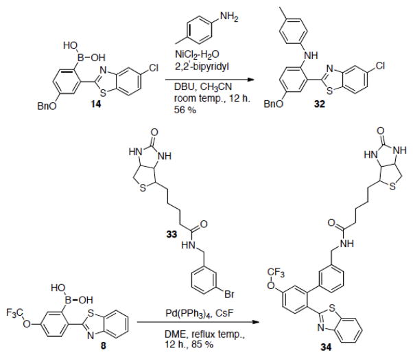 Scheme 2