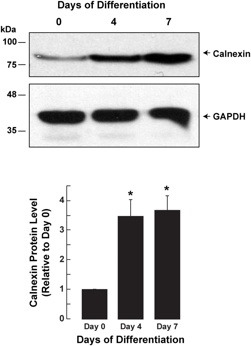 Fig 4