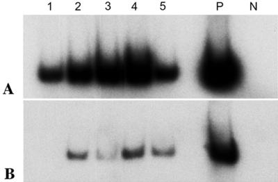 FIG. 5.