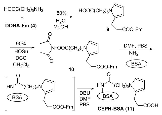 Scheme 5