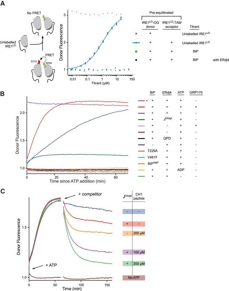 Figure 6