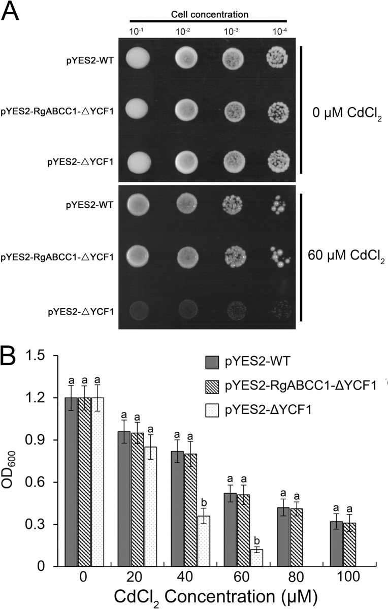 Fig 7