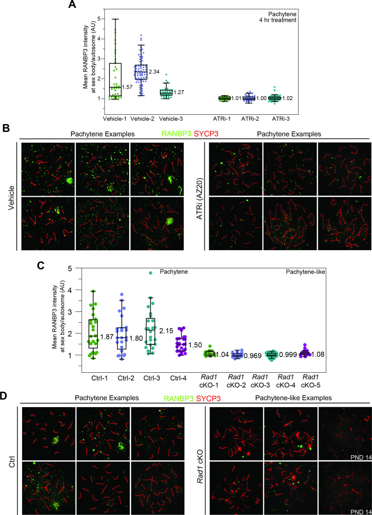 Figure 4—figure supplement 2.