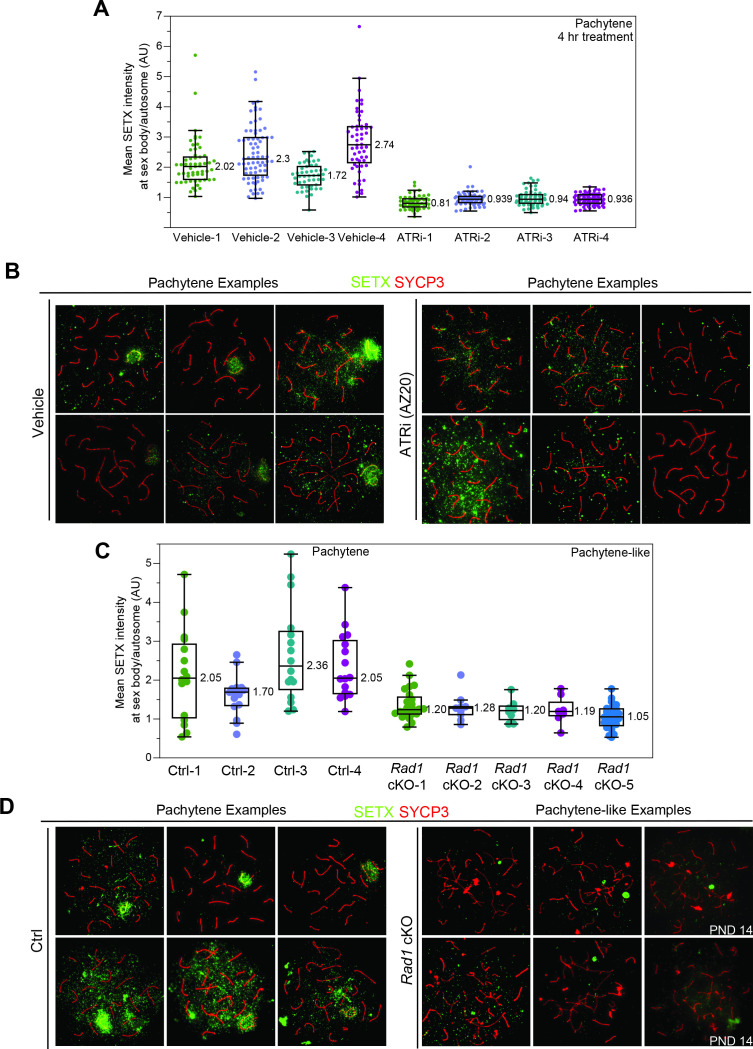 Figure 4—figure supplement 1.