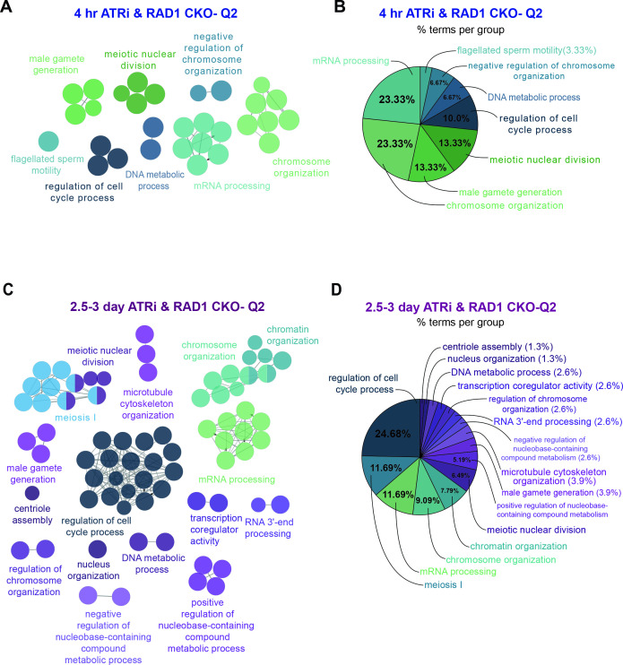 Figure 2—figure supplement 3.