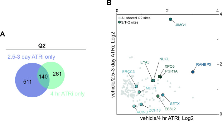 Figure 3—figure supplement 2.