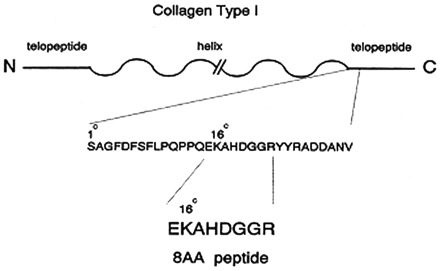 
Figure 56.
