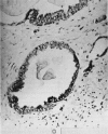 Figure 41.