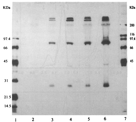 
Figure 55.
