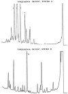 Figure 33.