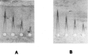 Figure 37.