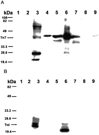 
Figure 61.
