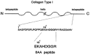 Figure 56.