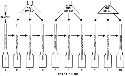 
Figure 35.
