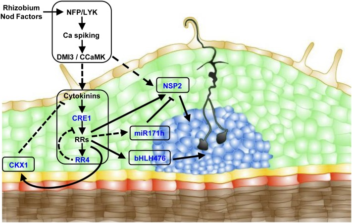 Figure 6.