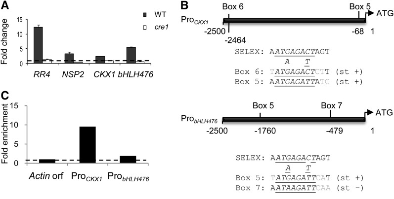 Figure 4.