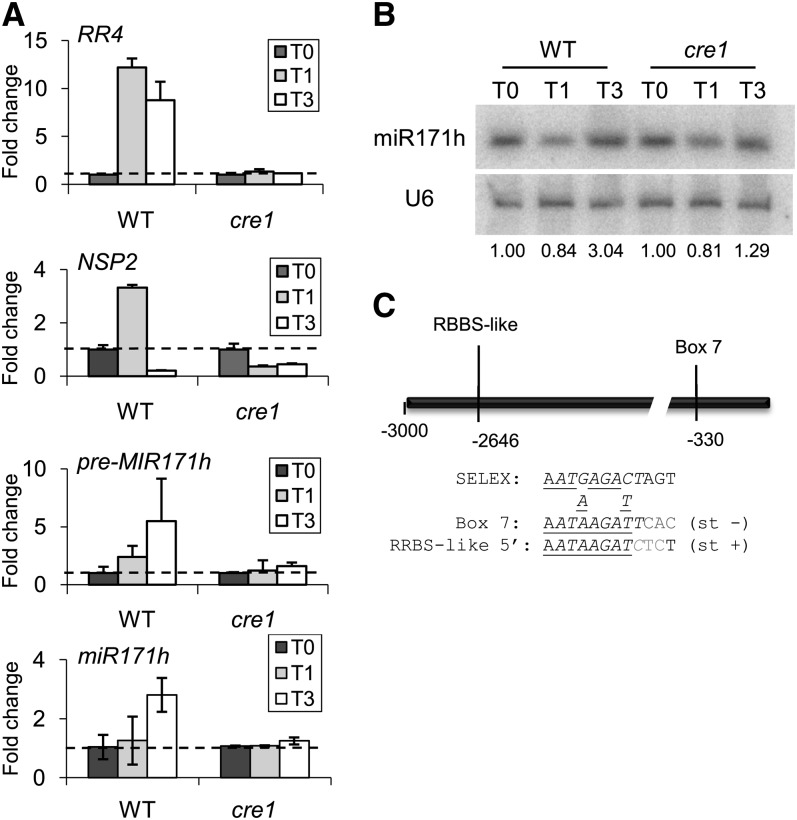 Figure 3.