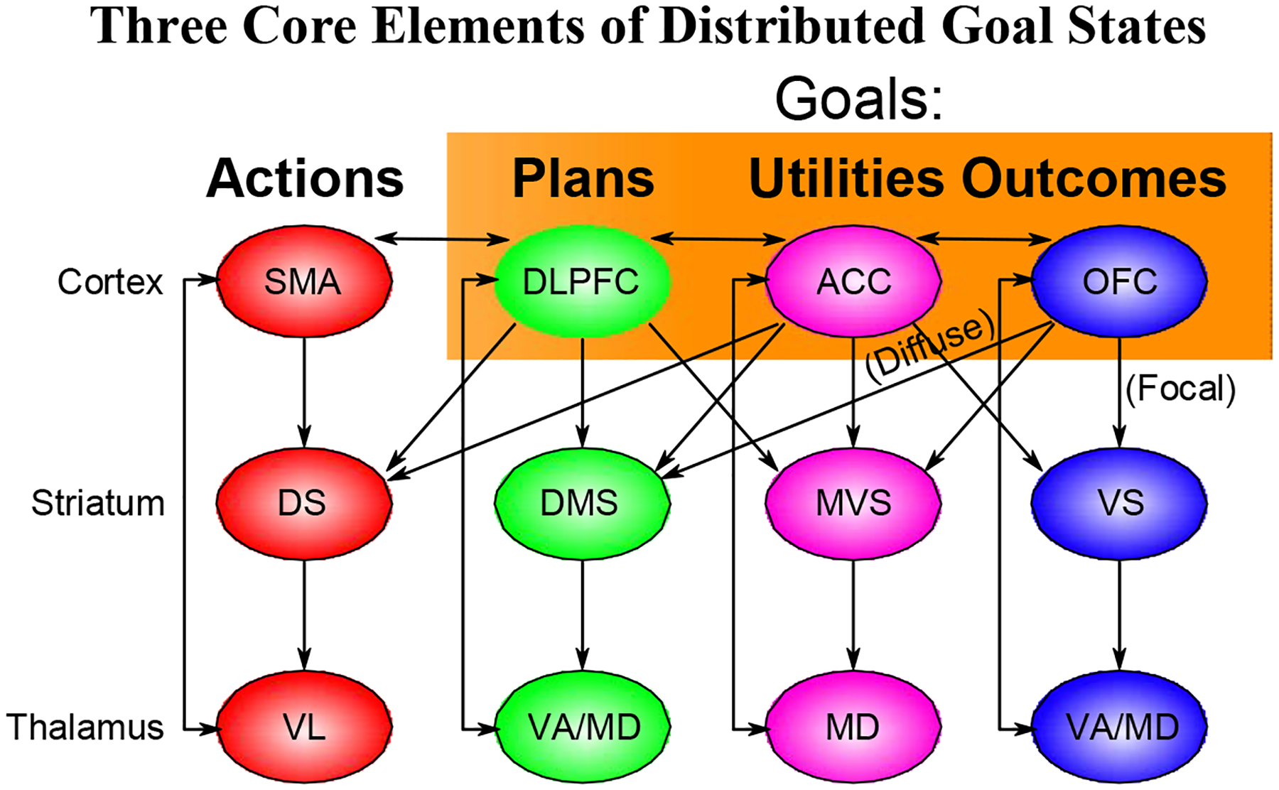 Figure 1: