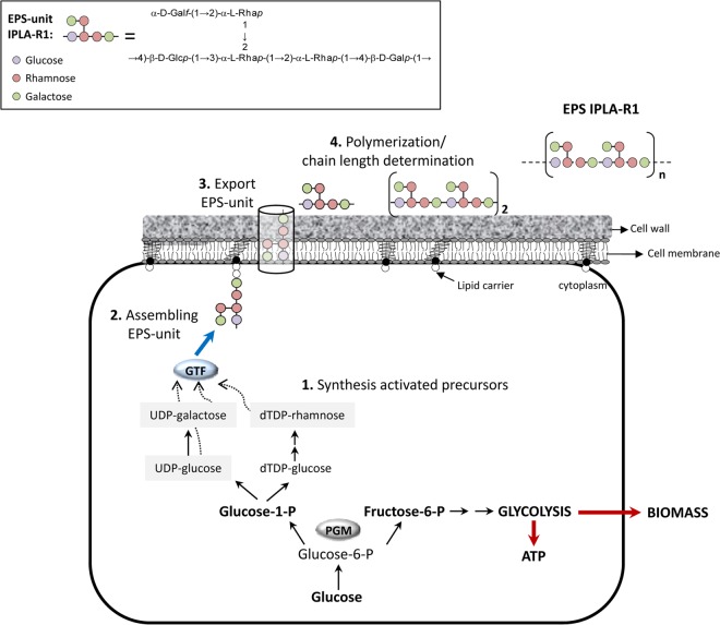 FIG 3