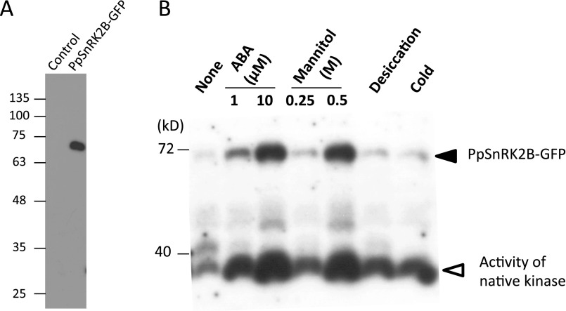 Fig. S4.