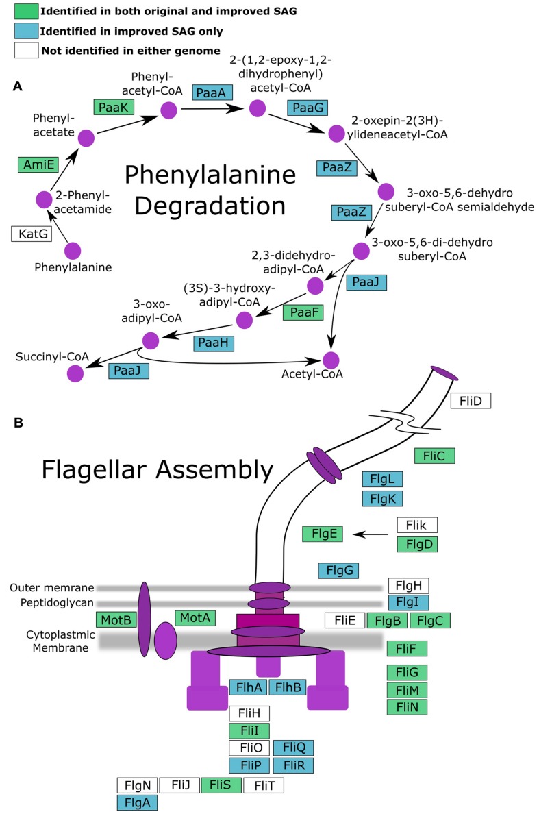 FIGURE 4