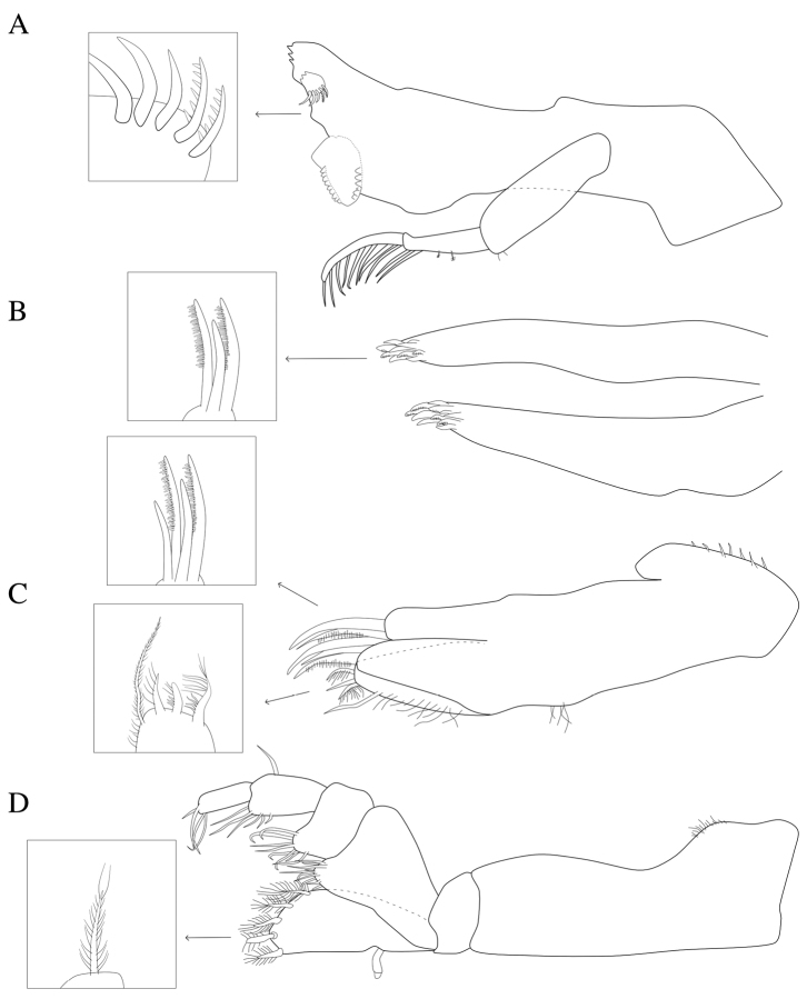 Figure 2.