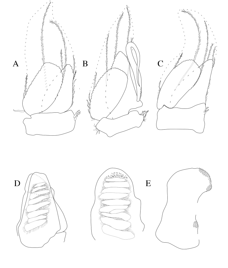 Figure 4.