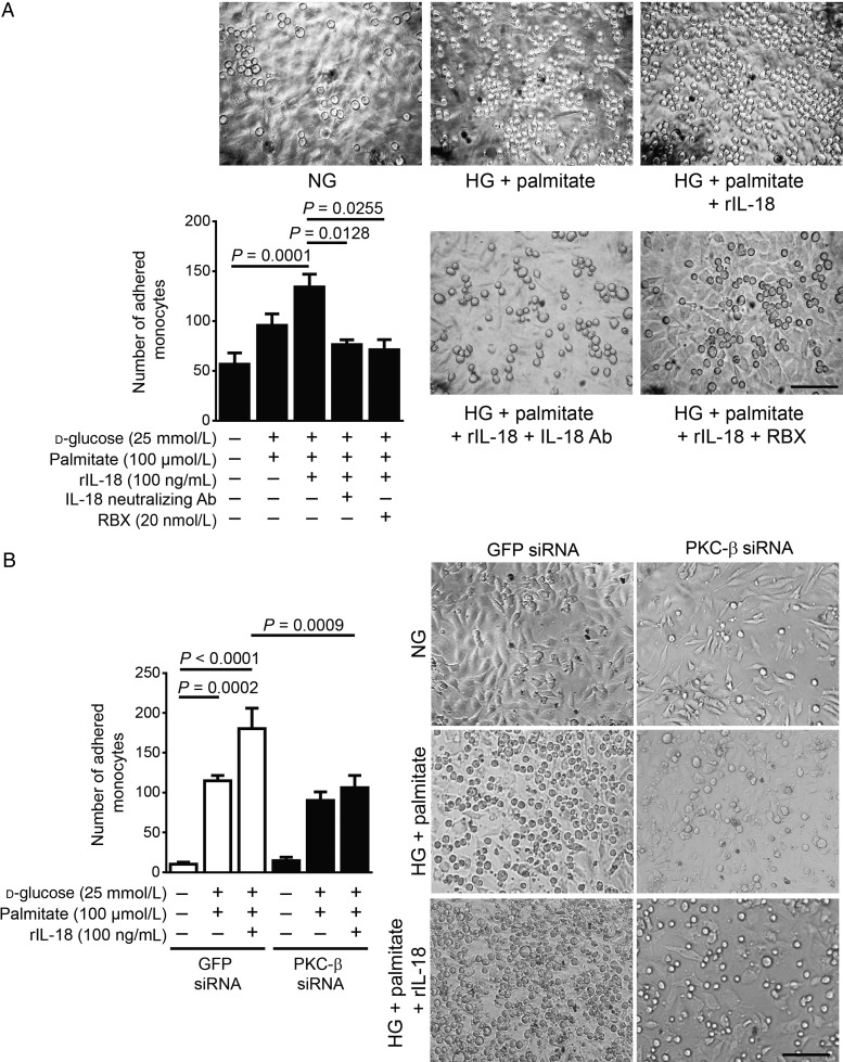 Figure 6