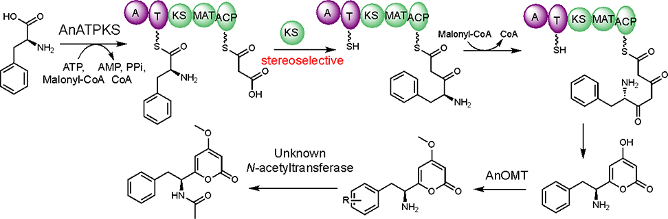 Figure 6.