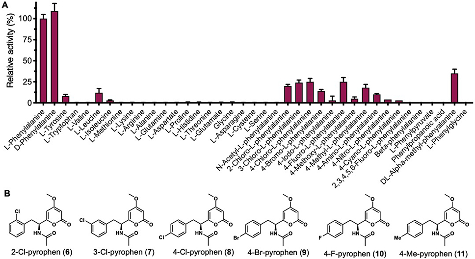 Figure 5.