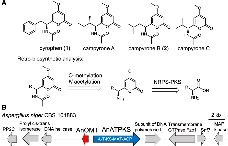 Figure 2.