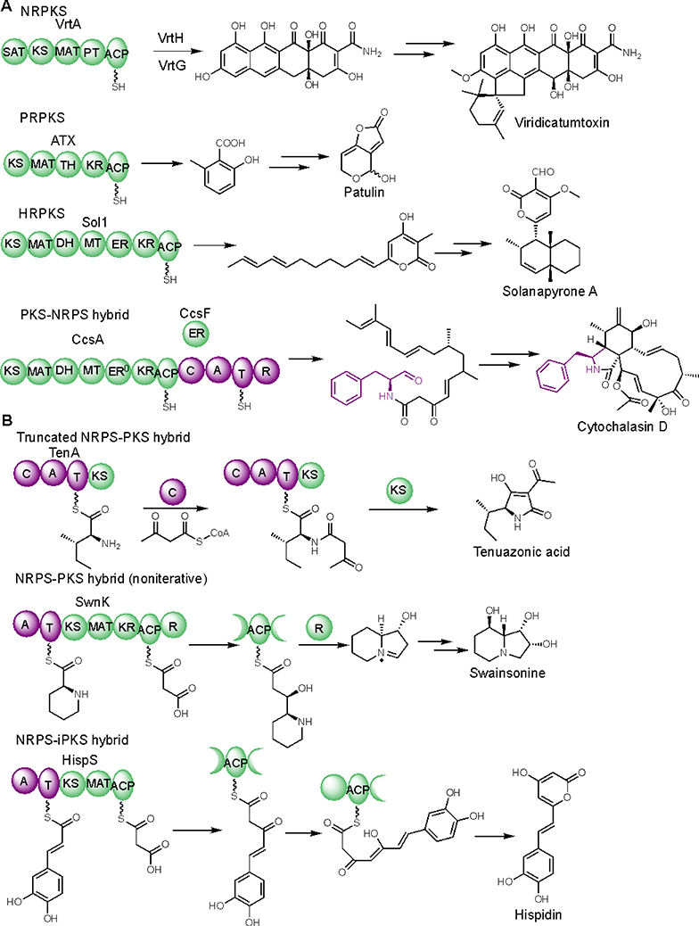 Figure 1.