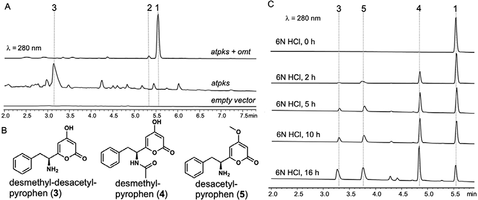 Figure 3.