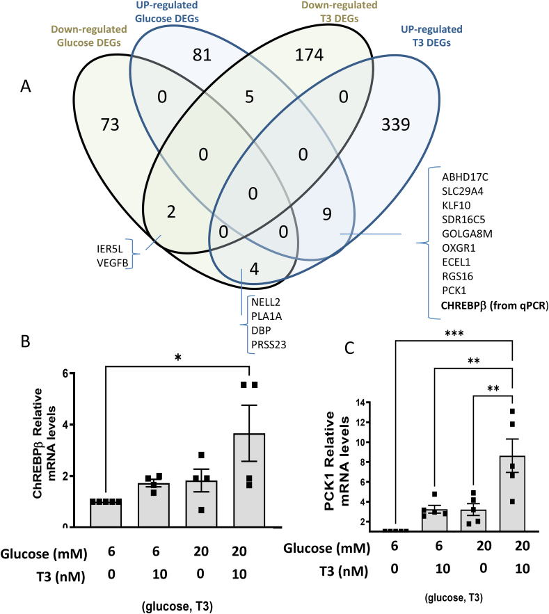 Figure 4