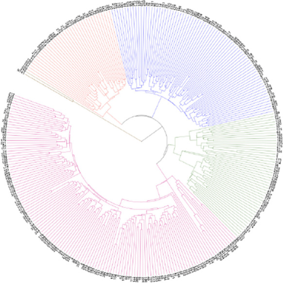 Fig. 2