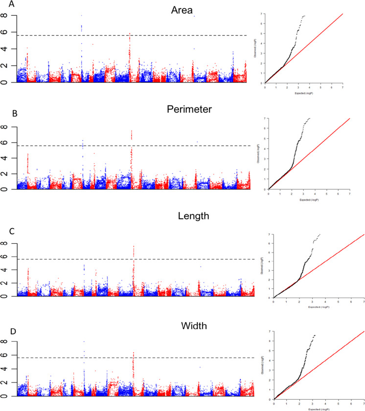 Fig. 4