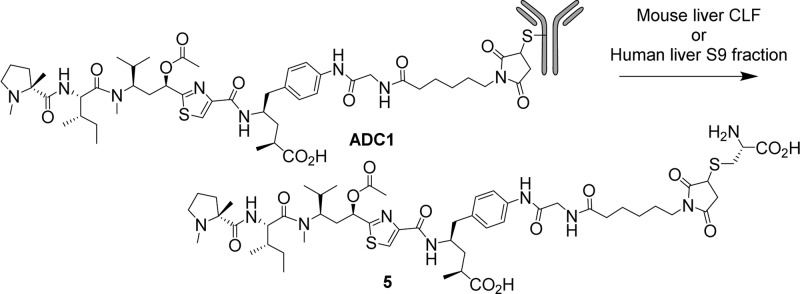 Scheme 2