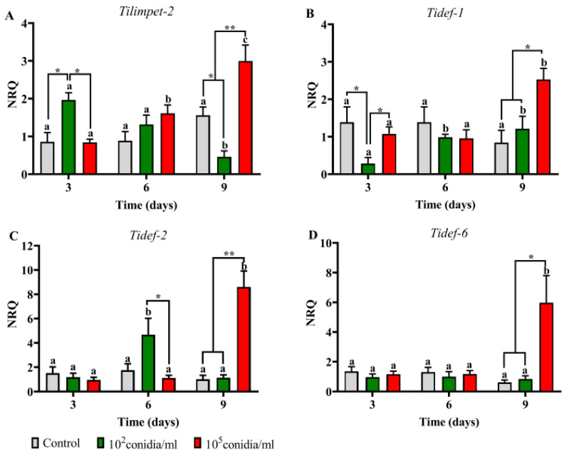 Figure 7