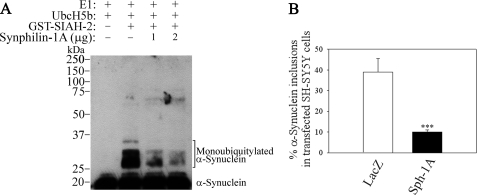 FIGURE 11.