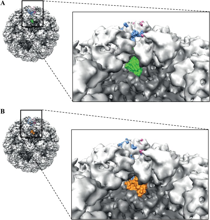 FIG 8