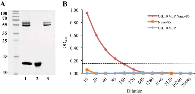 FIG 9